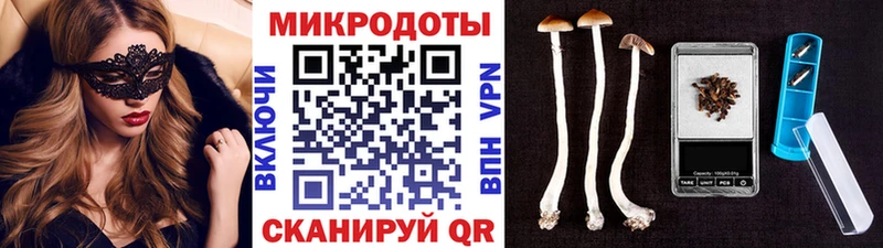 Псилоцибиновые грибы Cubensis  площадка Telegram  Абинск 